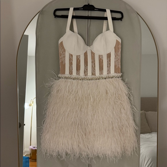 Alice + Olivia Dresses & Skirts - NEVER WORN Alicia & Olivia Shia Sheer Bustier Feather Dress